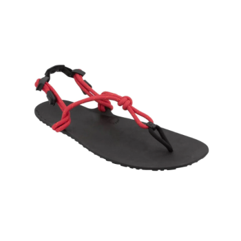 Xero Sandals Genesis - Women - Currant